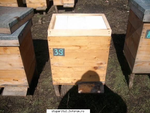valy_cot apicultor din moldova prototipul meu (layens rame pat rece magazin rama 3/4 pat cald)