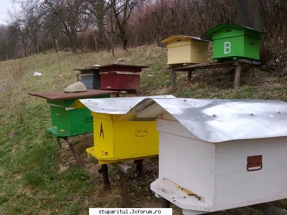 apicultura alta