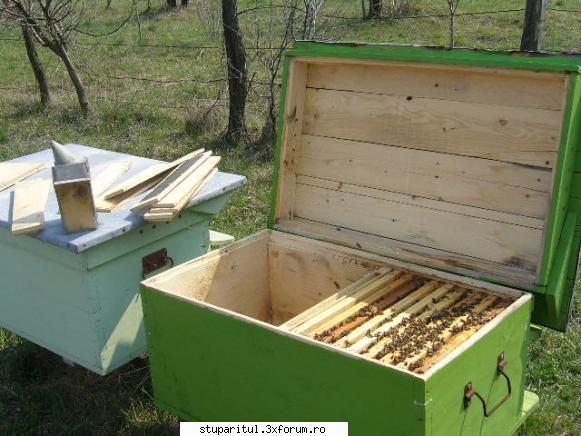 apicultor nou salut! inceput hranesc albinele sirop 1/1 portii 300ml doua zile. stiu daca bine, dar