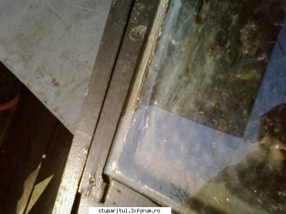 topitor solar ceara (poze) detaliu este destul zic asa, doar momentul care bagat foaia sticla s-a CLUB STUPARITUL