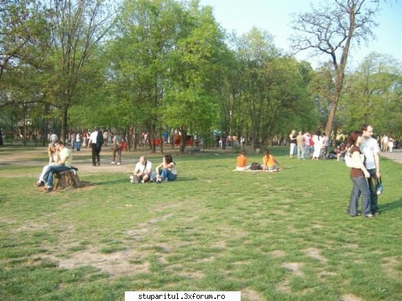 intrebare legata vocabular balasbebe useri forum stiu din martie, 1998, mai pun picatura alcool CLUB STUPARITUL