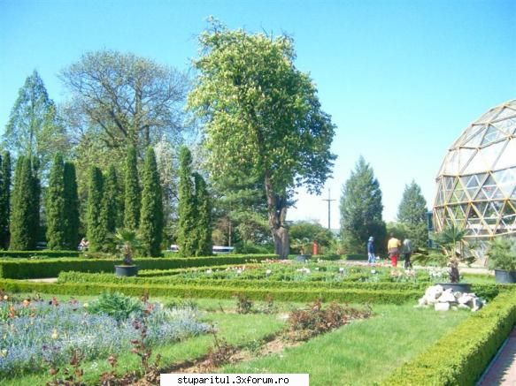 intrebare legata vocabular sau poate gradina botanica din jibou.este ceva unic. CLUB STUPARITUL