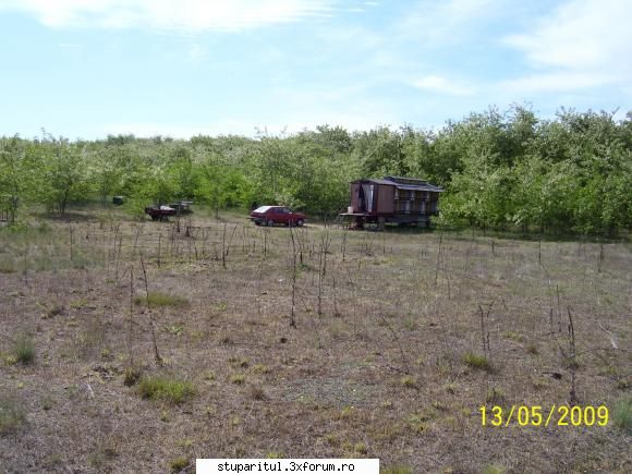 �ntre am fost �n pastoral la salc�m la horea-jud. satu aici :