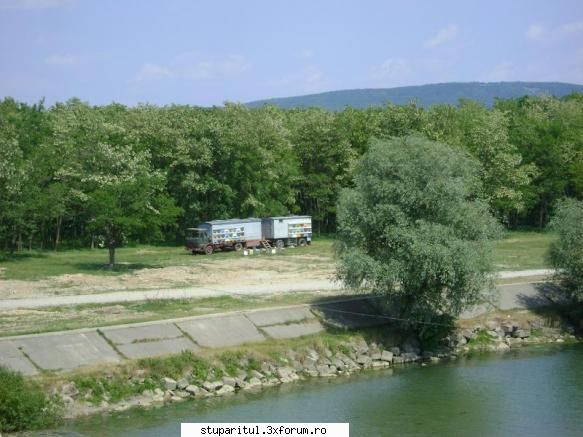 vand miere mana de oferte. :d vand miere