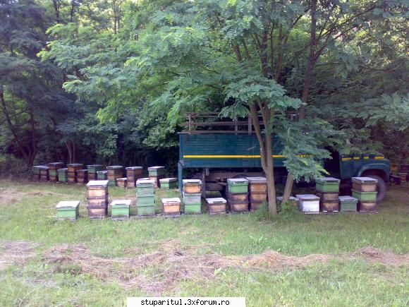 salutari apicultori reusit postez doar poze mai putini mega
