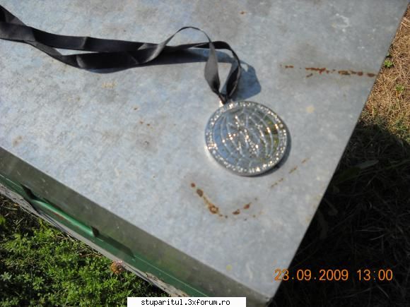 aca medaliata congresul apimondia 2009