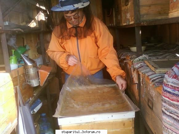 apicultor vechi, forumist nou romikele foto