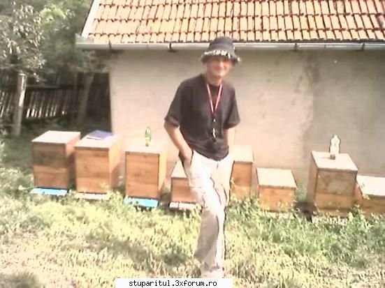 poveste adevarata suedia 2003 stii care diferenta dintre noi: lucrezi albine,eu cresc albine
