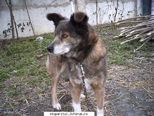 aca dragos2006 2007 buzau avut loc adunarea generala aca filiala buzau unde s-a votat propriul