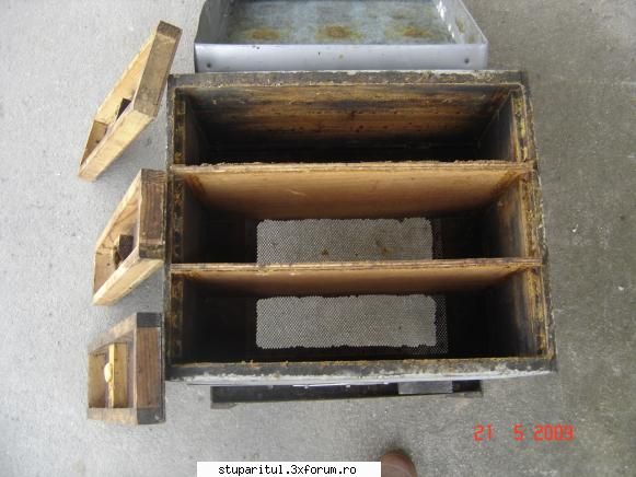 stau de o vreme si reflectez la modelul de stupi pe care sa-l promovez in viitoarea rame dadant corp