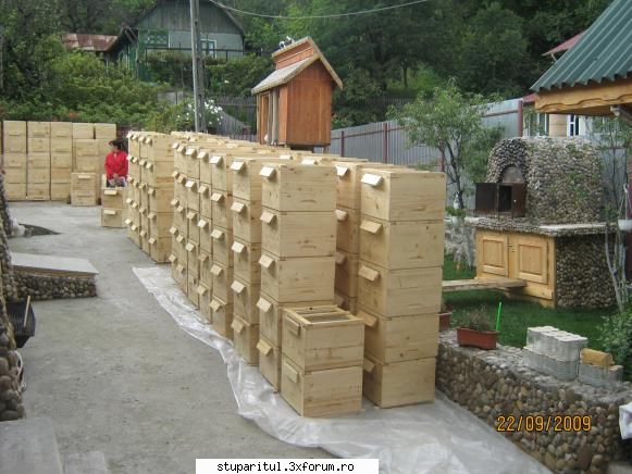 de stupi ro  1. 2.       cont 3.    	 de                                           17  lei
2.corp