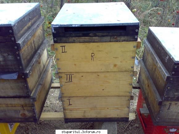 salutari apicultori stupul mer (multi etajat sant reductor urdinis pt. iarna, aerisire clapeta