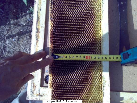 salutari apicultori pt. apar intrebari spatiul din cuib (volumul ocupat lemnul ramelor din cat ii,
