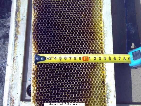 salutari apicultori pt. vedea mai bine:cu speteaza dadant spatiul celule, 135 rame suprapuse 270