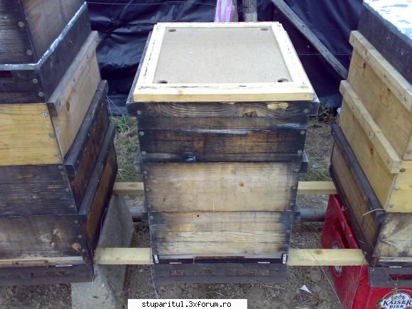 salutari apicultori catul schimb