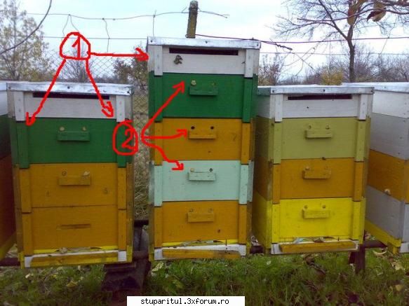 salutari apicultori probabil intreb alte elemente rigidizare care ocupe spatiu ext!!??2. poate