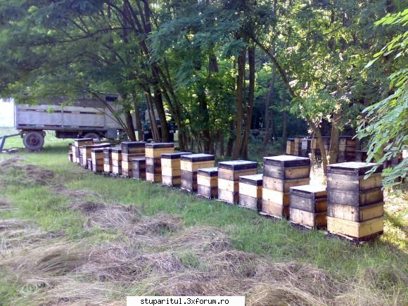 salutari apicultori din lotul case noi, s-au bucurat locatarele care aveau deja case.