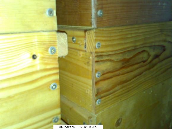 salutari apicultori montare introduse prin shaibe care tendintza crapa mai buna fiind conic, intra