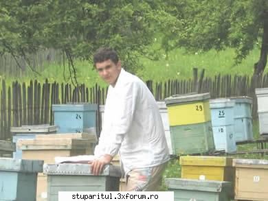 lumea apicola -revista dedicata albine din romania este pentru  