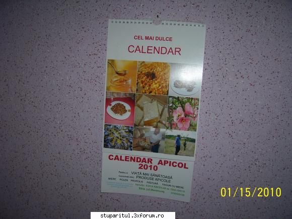 cam t�rziu dar am finalizat şi eu calendarul apicol  2010.
sper ca să iasă �n timp