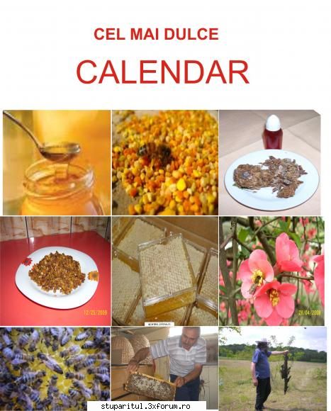 poate se văd mai bine �n acest :