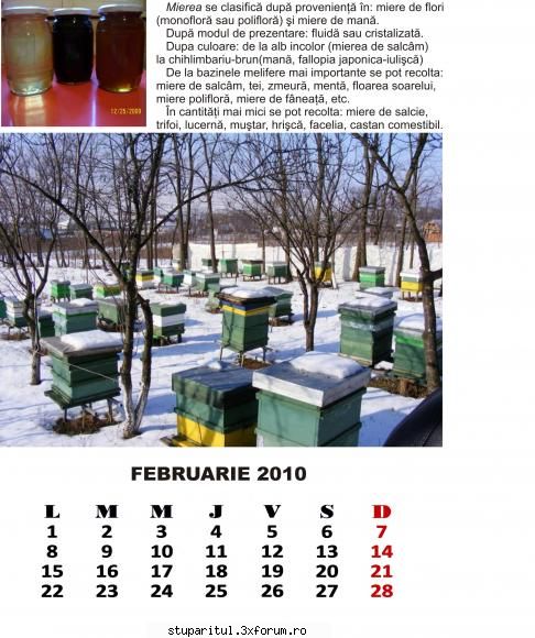 februarie