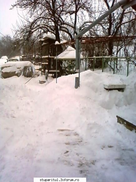 pozele lui bunka!! iarna bogata.. CLUB STUPARITUL