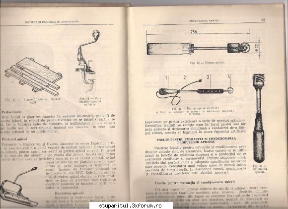 randalina apicola bunicul vazut asa ceva practica apicultura " marza nicolaide pag 78,