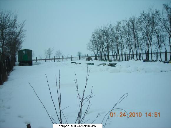 iarna 2010 zapada