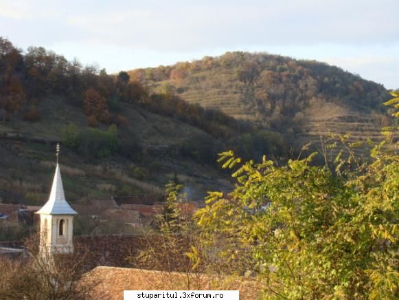 b-father pentru nea janese- toamna copşa mare