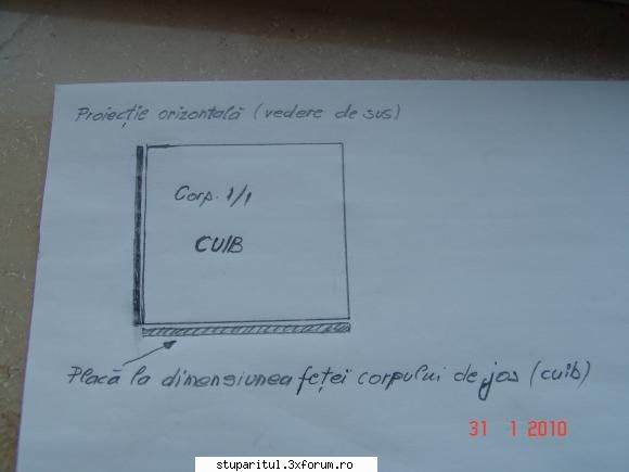 sub masca apicola primul să-i spunem aşa, vopsirea negru cutiei orientate spre sud şi