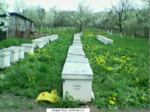 b-father ieranre usoara mine gasiti mihai dar prea multe poze abia mi-am luat tel camera, dar voi