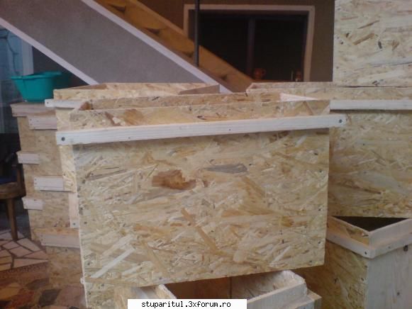 dorin dragan ladite de roi