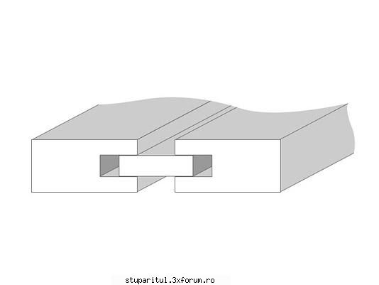 ABC costructie stupi - Sau un feder comun, care intră �n cale - ECHIPAMENTE SI UTILAJE APICOLE