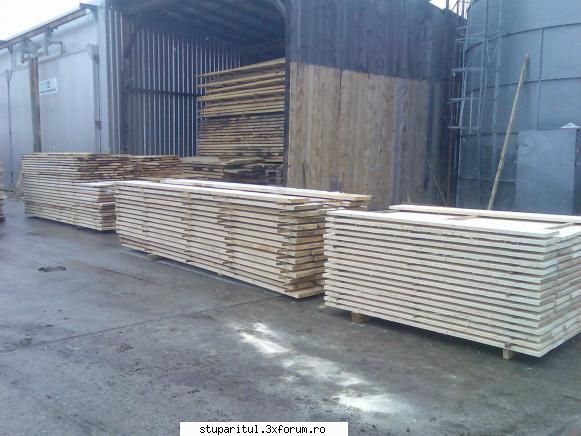 ABC costructie stupi - 480 ron/mc era si mai ieftina 450 cal II si 380 - ECHIPAMENTE SI UTILAJE APICOLE