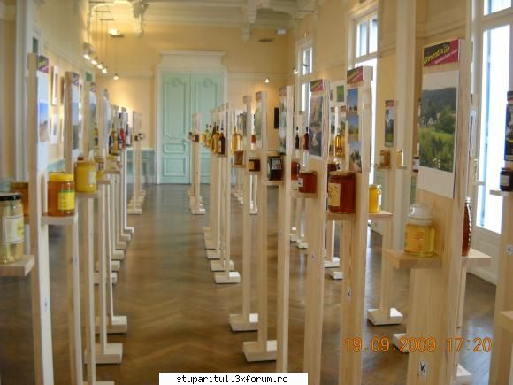 ACA medaliata la Congresul Apimondia 2009 - expozitia de miere - ASOCIATIA CRESCATORILOR DE ALBINE