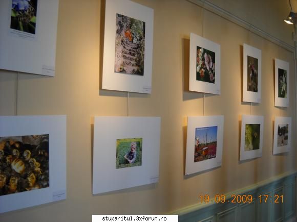 ACA medaliata la Congresul Apimondia 2009 - expozitia de fotografii pe - ASOCIATIA CRESCATORILOR DE ALBINE