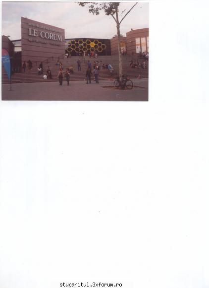 ACA medaliata la Congresul Apimondia 2009 - Gicone de BmV - ASOCIATIA CRESCATORILOR DE ALBINE