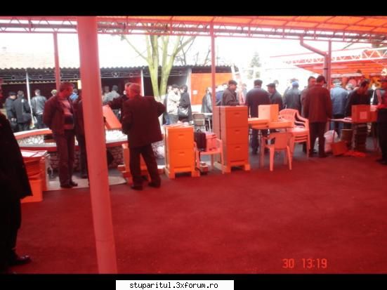 A fost Faget 2006 - o vedere de ansamblu a stupului din polistiren - POZE