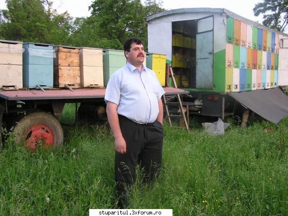 Aă vă arăt şi eu stupina mea - Am 38 de ani şi su - PAGINI PERSONALE ! CINE SUNT EU ?