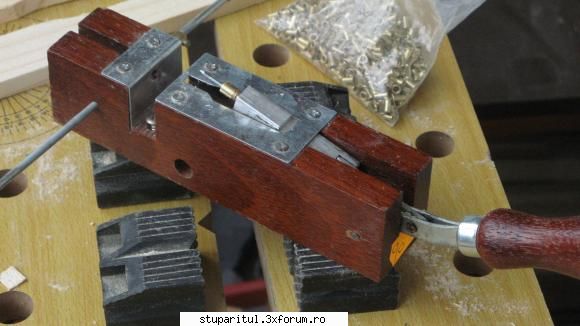 Aceasta scula... - Degajarea pentru fixarea leantului este perea - NOUTATI IN APICULTURA