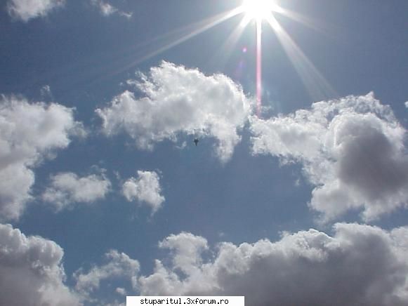 Air show - Si un F22 pe cer. Superb avion - CAFENEA - DISCUTII DESPRE ORICE