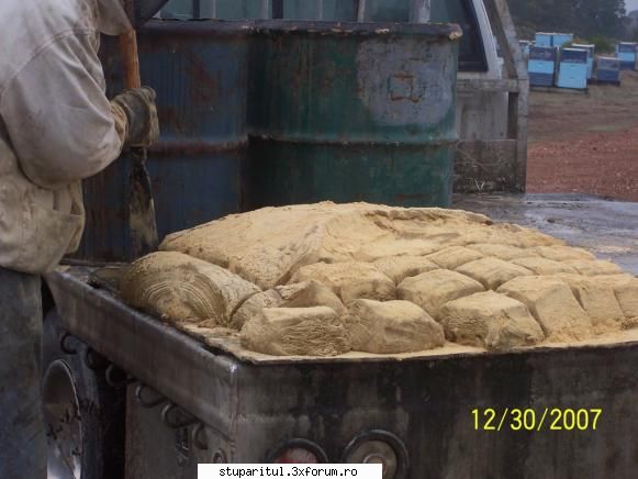 Albine in pastoral - si in porti de aprox 1kg - INTRETINEREA ALBINELOR