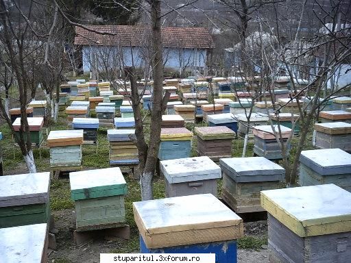 buna ziua,


as dori sa stiu ce substante folosite ptr stropirea pomilor sunt a se folosi atunci