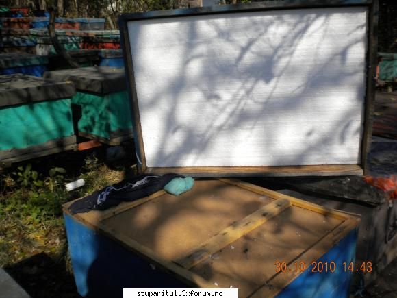 Alex_andru - Dar p�nă �nflorește salc�mul, facem - PAGINI PERSONALE ! CINE SUNT EU ?