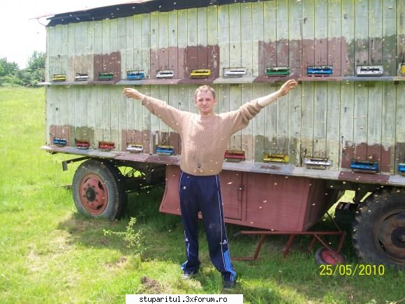 Alt Stupar - zburand pe langa salcam(i) 2010. La propiu si la - PAGINI PERSONALE ! CINE SUNT EU ?