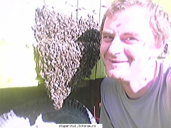 Alt Stupar - Adrian Blaguescu, 35 de ani, loc. Lipova, jud - PAGINI PERSONALE ! CINE SUNT EU ?