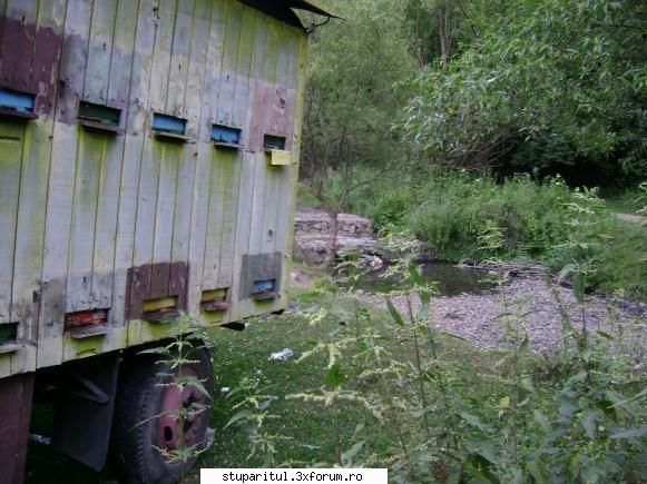 Alt Stupar - o locatie ,,cu de toate" - PAGINI PERSONALE ! CINE SUNT EU ?