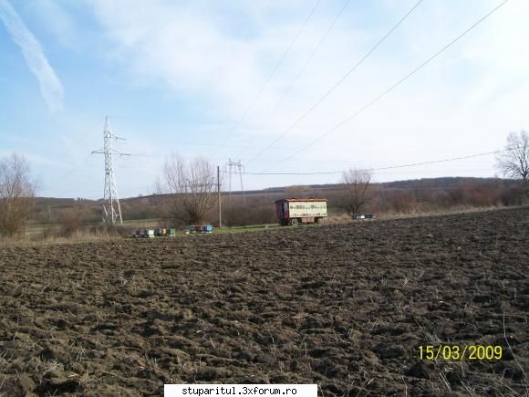 Alt Stupar - si din tot campul liber, am reusit sa plasez - PAGINI PERSONALE ! CINE SUNT EU ?