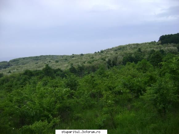 Alt Stupar - si toate astea ca sa ajung in mijlocul a 200 Ha - PAGINI PERSONALE ! CINE SUNT EU ?